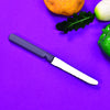 2109 Stainless Steel, Vegetable, Pizza and Bread Knife, Serrated Edge. DeoDap